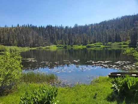 Brandi Benz free only fans