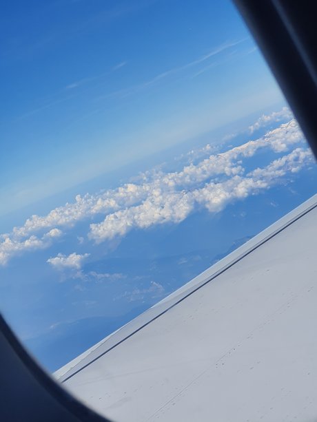 pLaNkTuS onlyfans xx