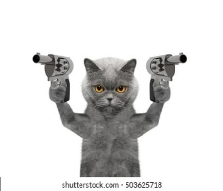 imgonnaeatyourheart onlyfans public photos