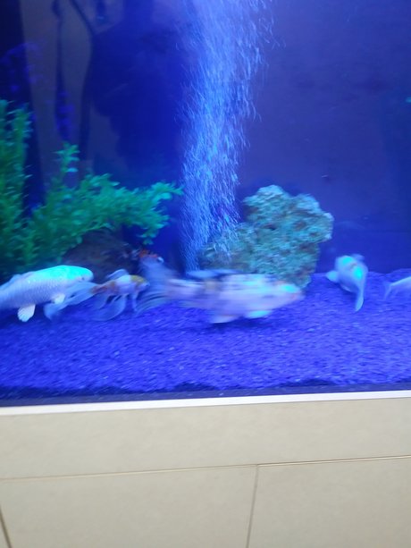 LonGdick onlyfans archive