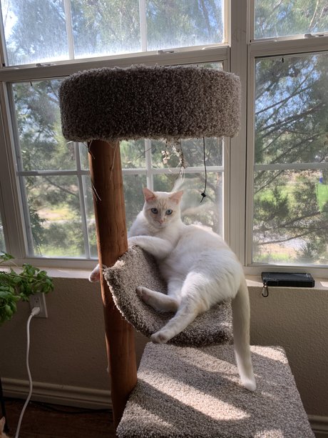 Cosplayer only fans xxx