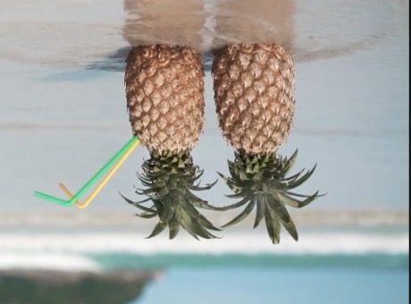 Swingternational only fans