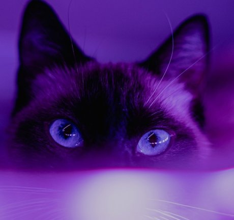 Mz Stevie joi onlyfans