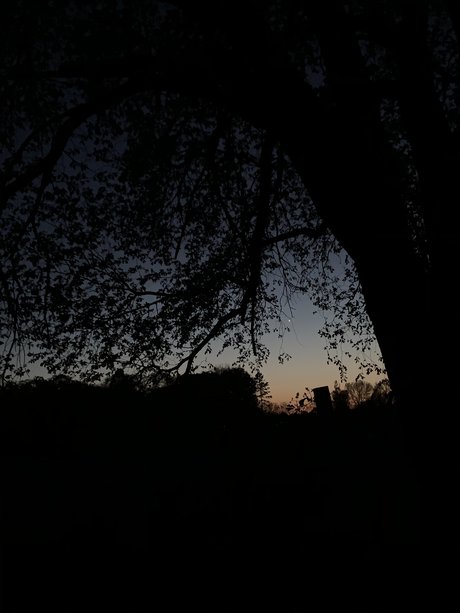 freaky ebony onlyfans free porn selfie