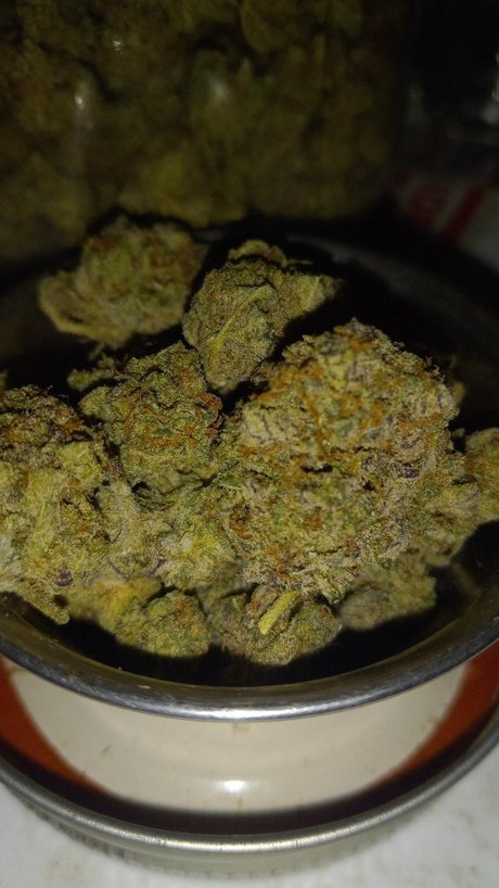 Donalddigbick joi onlyfans