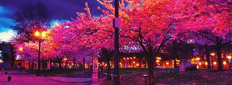 Duncan CM leaked onlyfans sex