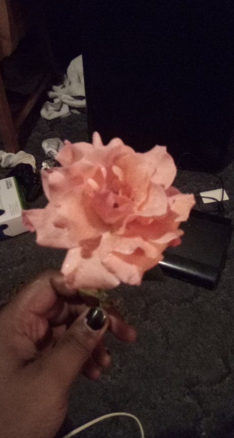 Darius Blue ass onlyfans