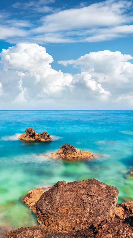 TotoBear onlyfans pics nude