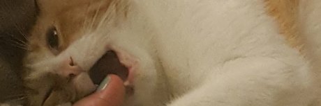 Professor Tokes onlyfans leak porn