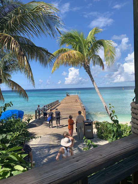 Willis onlyfans nide