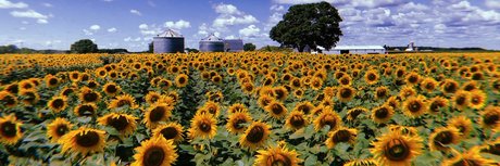 makenzie_ onlyfans sex