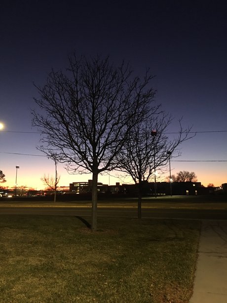 Aloys Yeh onlyfans leaked xxx