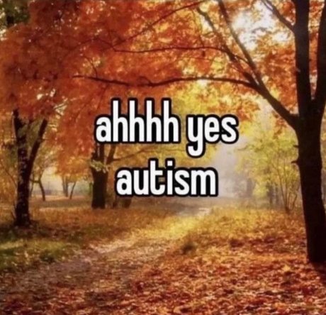 Backshots only_ onlyfans boobs