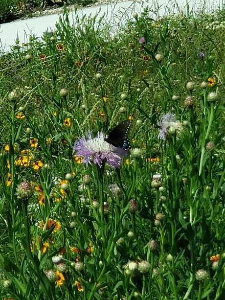 Jo Brite onlyfans xx