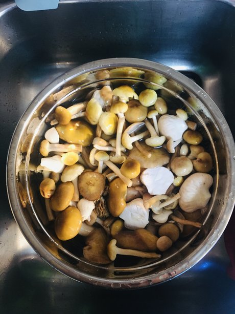 Too Many Potatos onlyfans leaks