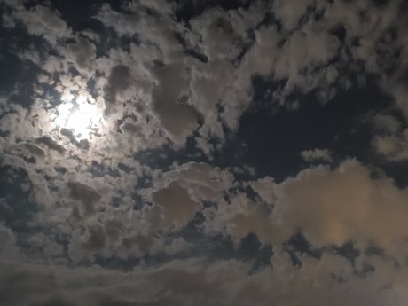 LittleD leaked onlyfans content