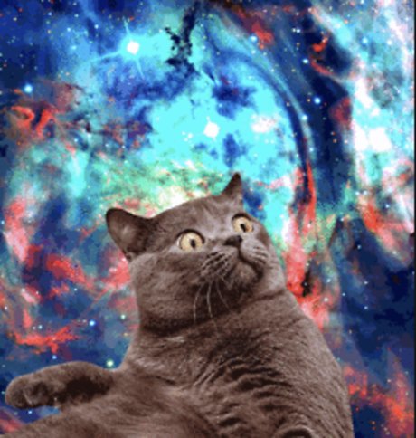 Shanikua onlyfans leaked.