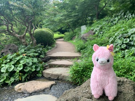 _Mai Hakoiri only fans leak nude