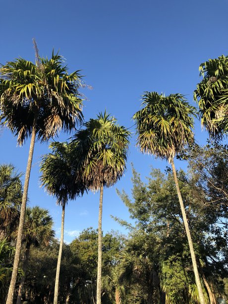 Aaron Belman onlyfans model photo