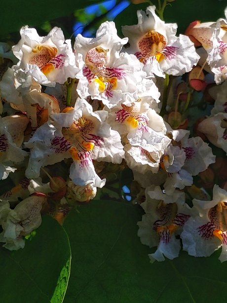 losgryfog onlyfans porn leaks