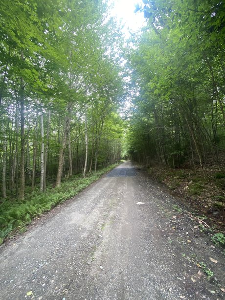 Heroe perdido9 onlyfans photo