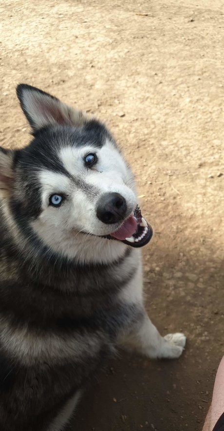 TIMEOUT TUX_ only fans pics