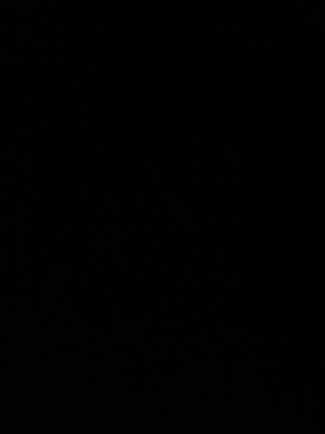 User202498 onlyfans content type