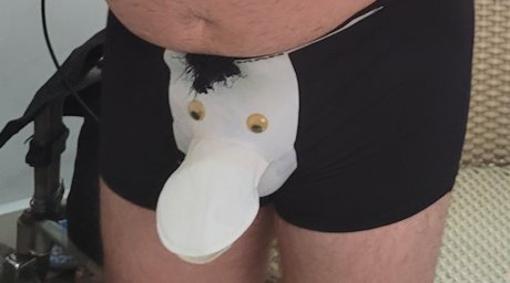 Pato Esclerozado vs Presuntinho nudes onlyfans