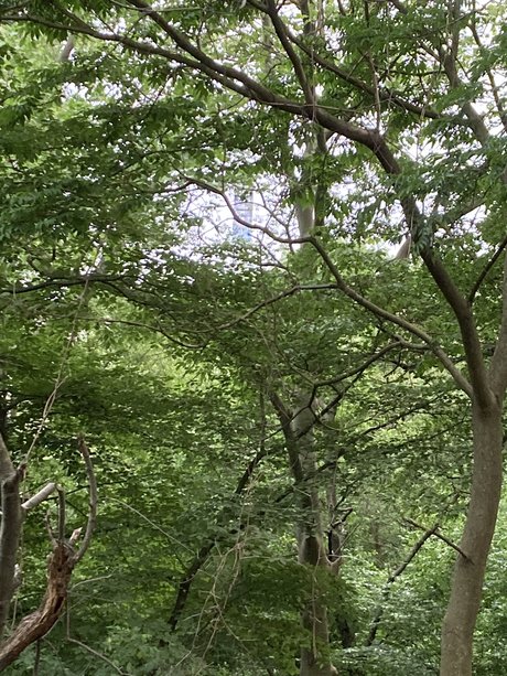 UncutNYC xxx onlyfans