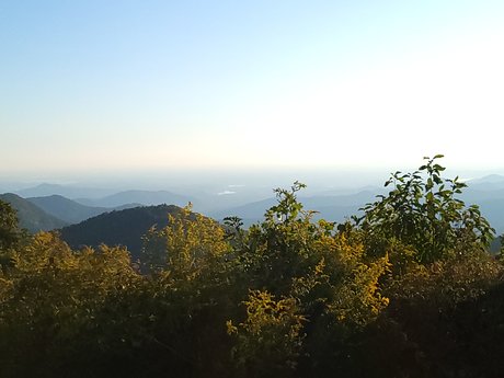 The Wild Fae leaked onlyfans free