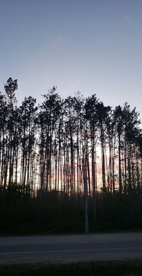 Alli Rose onlyfans porn