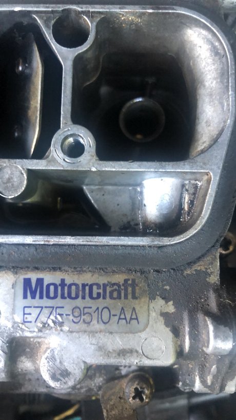 1998wranglerbeast only fans leak