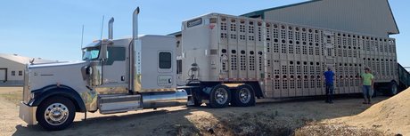 Todd Daehn onlyfans leaj