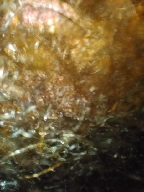 Keychawn onlyfans content leaked