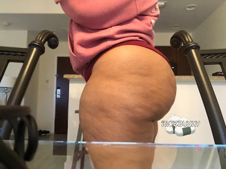 Ricebunny Profile pic