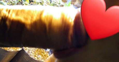 Talita Chef onlyfans leak nudes