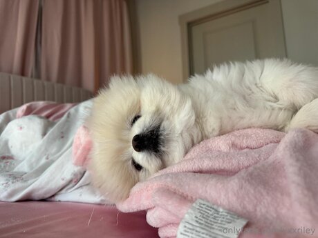 amber onlyfans sexy nude slide