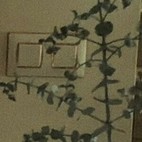 naughtybrattxo leaked onlyfans free