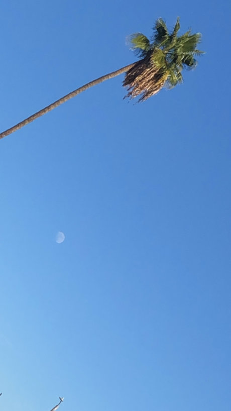 lllletsplay96 onlyfans leaked tits