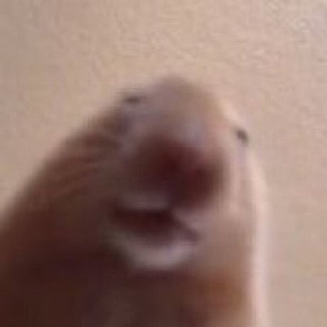 drakeclap gif onlyfans leaked