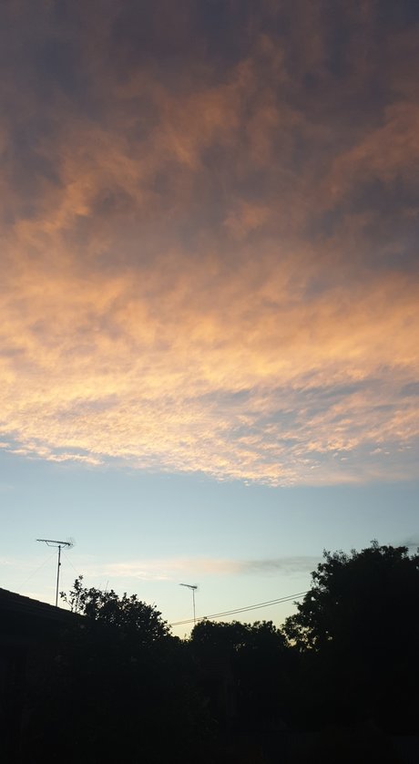 Cuddly bear onlyfans naked