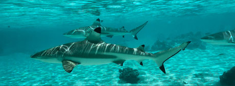 HotRiverGuy onlyfans leams