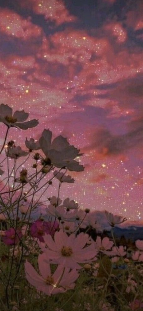 The Thicc Mermaid porn onlyfans leaks