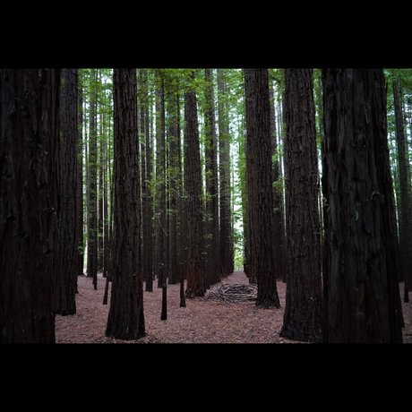 B3njamiv nudes onlyfans