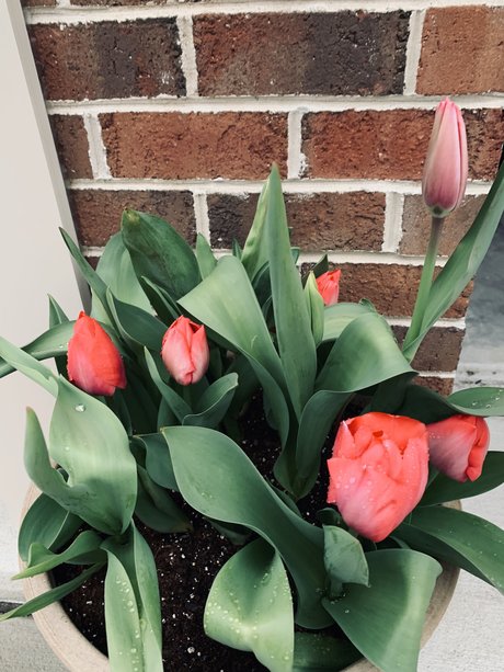 Douglas E Zima leaked onlyfans nudes