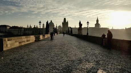 thewinterborn only fans xxx