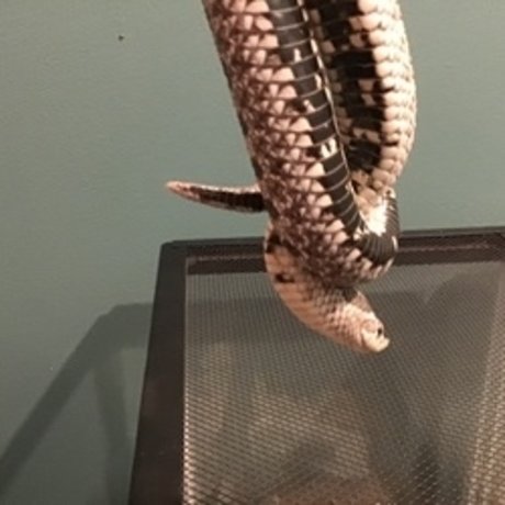 u8360874 new onlyfans