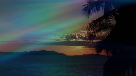 Mia Boom_ onlyfans leaks xxx