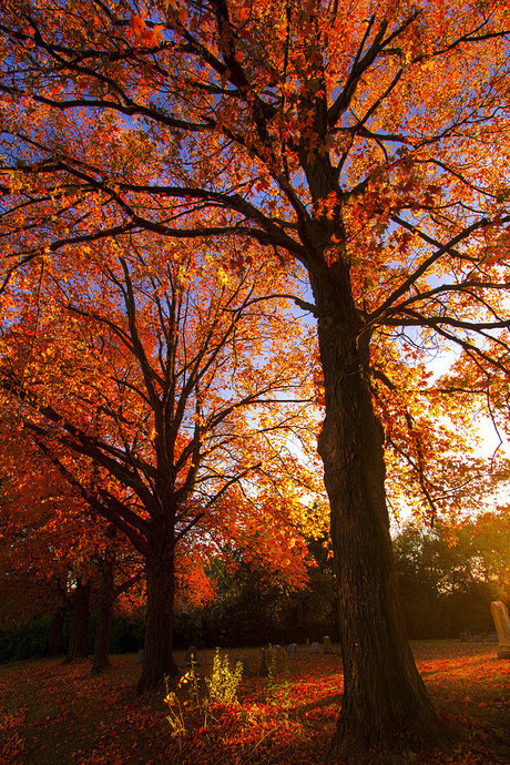 sp00pygirl naked onlyfans