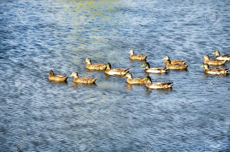 Jay D Quackers leak onlyfans